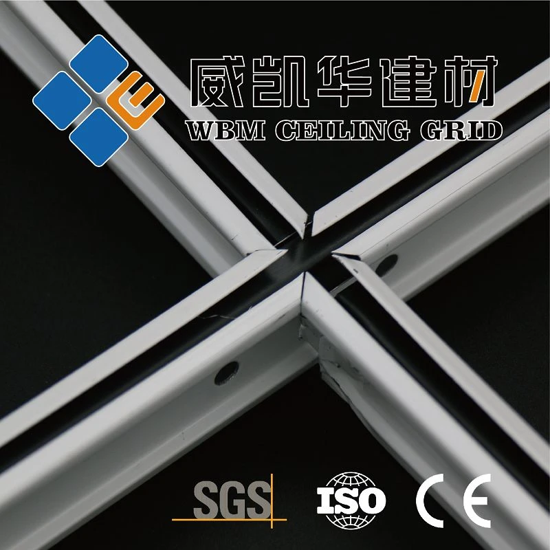 product-800-800